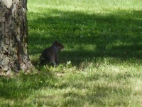 cnews080829_03.jpg