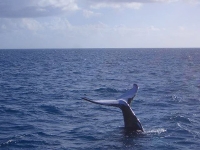 cnews081010_03.jpg