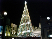 cnews081226_03.jpg